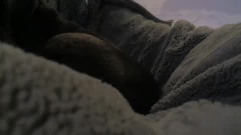 jackad44 online show from October 17, 6:34 pm