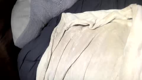 jack online show from March 15, 12:35 pm