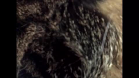 Jacob online show from March 24, 12:10 pm