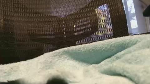 jakdiks online show from November 3, 10:22 pm