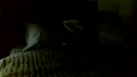 Jamacian online show from November 7, 5:11 am