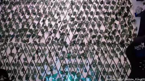 JKing  online show from September 18, 10:17 am