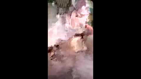 Jastryd online show from April 18, 12:17 pm