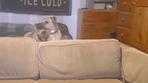 O F   jay short786 online show from January 21, 10:30 pm