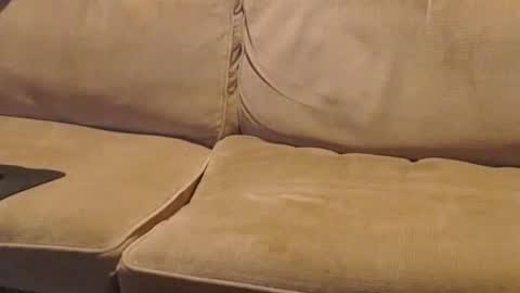 O F   jay short786 online show from February 12, 1:41 am