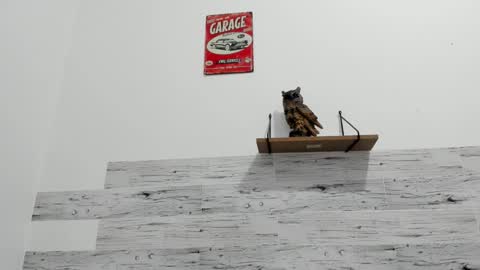 Jaycreedd online show from November 25, 2:13 am