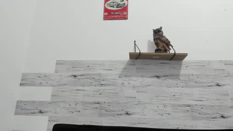 Jaycreedd online show from February 22, 3:23 am