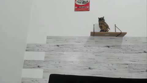 Jaycreedd online show from November 20, 1:16 am