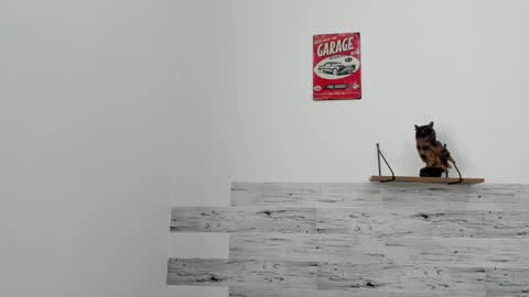 Jaycreedd online show from March 7, 6:11 pm