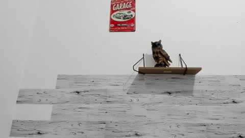 Jaycreedd online show from September 11, 12:31 am