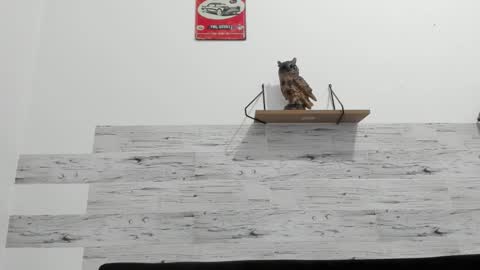 Jaycreedd online show from October 10, 2:16 am