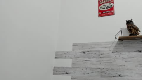 Jaycreedd online show from October 2, 2:04 am