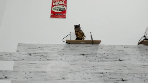 Jaycreedd online show from October 24, 4:58 am