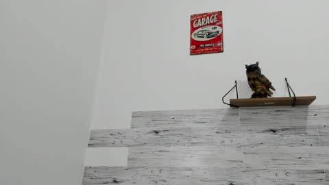 Jaycreedd online show from September 22, 2:55 am