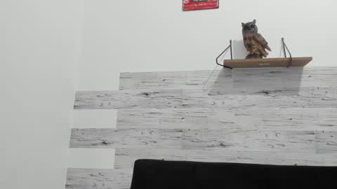 Jaycreedd online show from September 12, 12:54 am