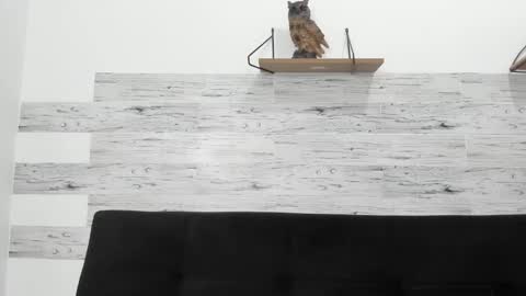 Jaycreedd online show from October 29, 4:15 am