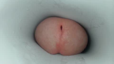 jeffrodgerschaturbat online show from February 27, 3:51 am