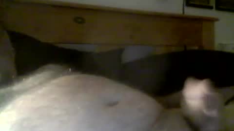 jerkmate6666 online show from March 11, 11:28 am