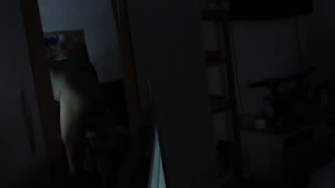 jerkomat online show from March 8, 9:02 am