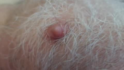 Jim online show from September 30, 12:31 pm