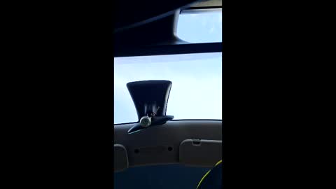 joansebastian9793 online show from February 7, 9:49 am