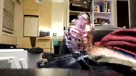 Snapshot of joehman chatting on September 21, 9:59 pm joehman online show from September 21, 9:59 pm