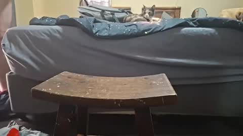 johnkango2 online show from September 29, 9:41 am