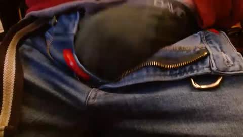 joncpics online show from February 24, 2:56 am