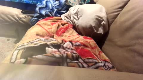 JayHungster xxx online show from September 16, 11:55 am