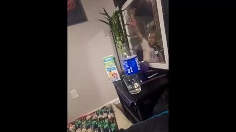 joshinterchecks online show from February 17, 6:51 pm