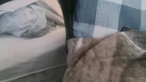 Join My Fan Club To Get To Know Me Better online show from March 9, 4:11 pm