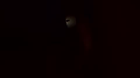 Bender ova online show from March 23, 3:23 am