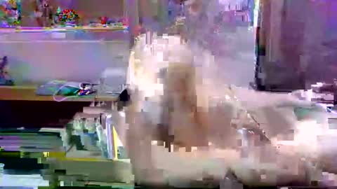 juniorextr_18_ online show from February 9, 12:15 am