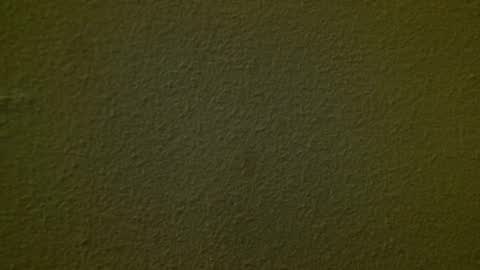 Just marlon online show from March 3, 2:11 am