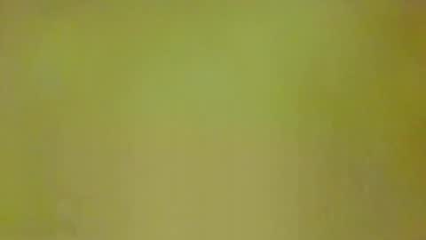 McKeefer online show from March 3, 3:52 pm