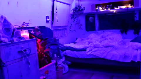 jwolf11851725 online show from September 21, 8:03 am