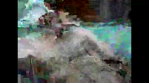 k9cat online show from March 7, 7:55 pm