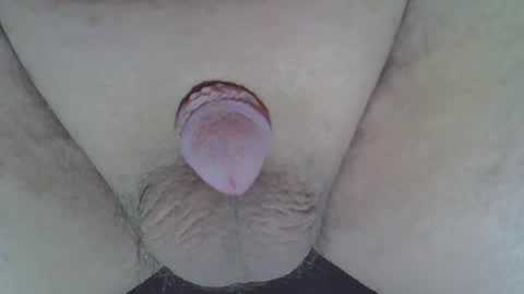 maggot online show from October 31, 7:17 pm