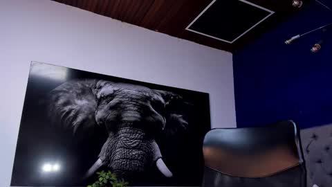 Angel Falconer online show from January 15, 2:26 am