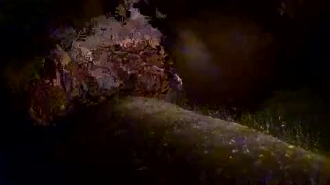 Kitkat loco online show from November 10, 9:36 am