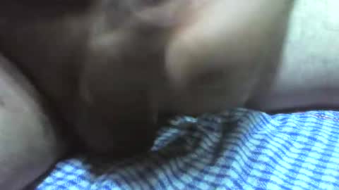 klok8230 online show from November 14, 2:59 am