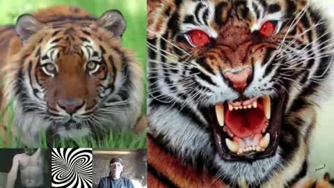 kodiakpm1 online show from December 3, 8:36 am