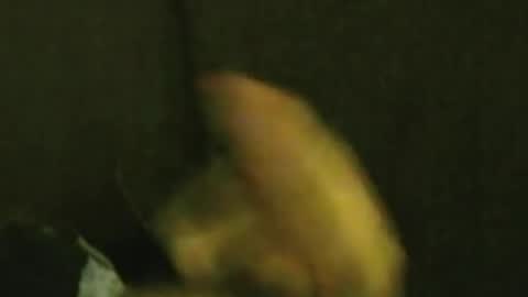 Snapshot of kren565656 chatting on October 15, 11:29 am kren565656 online show from October 15, 11:29 am