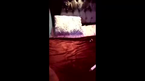 labestiareconoseme44420 online show from April 21, 6:52 am