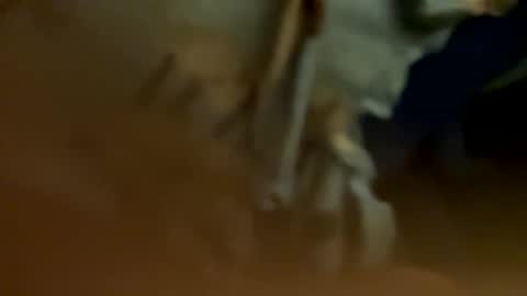 Latino no limits online show from February 3, 1:40 pm