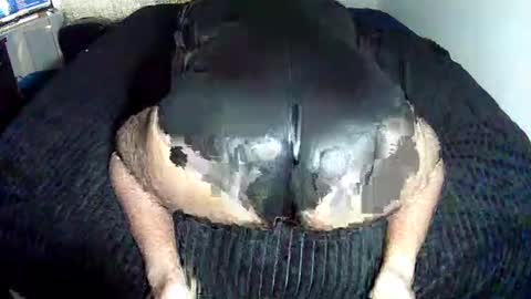 leatherman31 online show from October 28, 4:42 pm