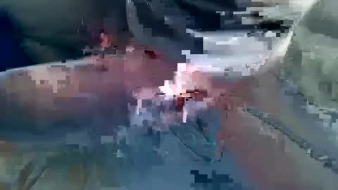 leendarium95 online show from February 8, 7:37 am