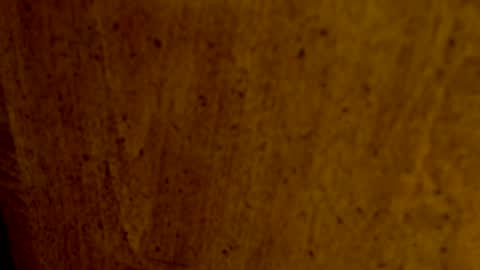 legspreadkink online show from March 11, 3:24 am