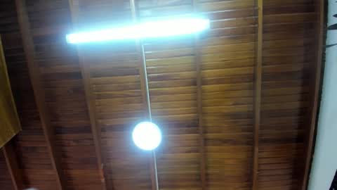 LevySteven online show from November 14, 4:04 am