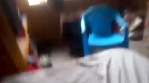 lewiskip online show from November 5, 5:09 am